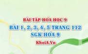 Bài tập cấu tạo phân tử hợp chất hữu cơ: Giải bài 1, 2, 3, 4, 5 trang 112 SGK Hóa 9